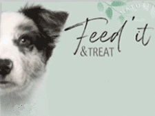 Feed’it & Treat